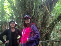 at the Tree of Life
